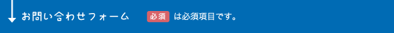 お問い合わせフォーム：「必須」は必須項目です。